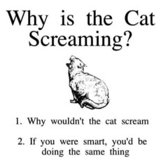 an update + relaxing elevator music (read desc!)