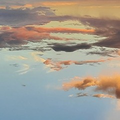 Kolkata Dusk Chorus