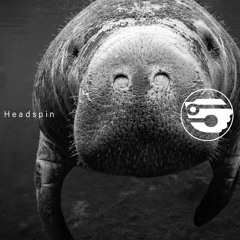 HEADSPIN ( + VIDEO - Link in description )