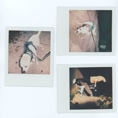 Luminance (Bonus Track)