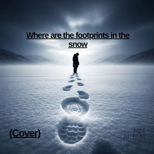 Where are the footprints in the snow (Cover)