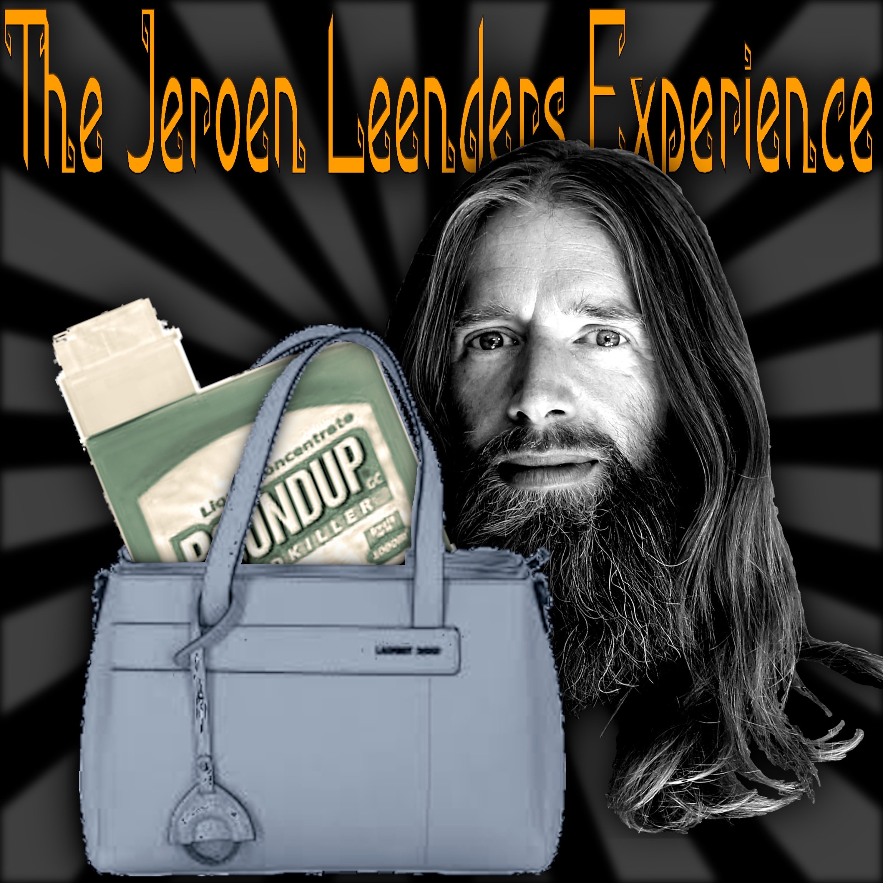Jeroen Leenders Experience