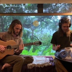 Valeriy Frolov & Jonas Luminas - "Forest Rain" (Handpan Guitar)