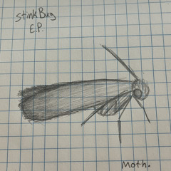 Moth (Prod. Sk8Miles)