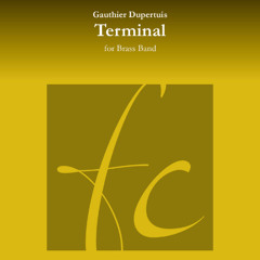 Terminal / Swiss National Youth Brass Band (B-Ensemble) / Stefan Roth (conductor)