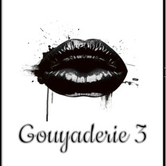 Gouyaderie 3