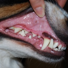 🚷🚷🚷🚷🚷🚷🚷🚷🚷🚷🚷🚷🚷🚷🚷🚷🚷🚷🚷🚷🚷🚷🚷