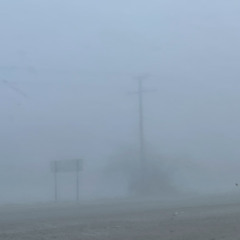 el sol cayo en mexicali y va a quemarnos a todos