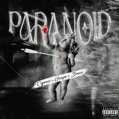 Paranoid (feat. Cypress Moreno & Bravo the Bagchaser)
