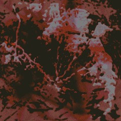 ORTOKICK_[ecosystem>SWAMP_02_MAIN]