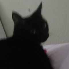 if you're bored at school like me listen to this ✨ playlist ✨