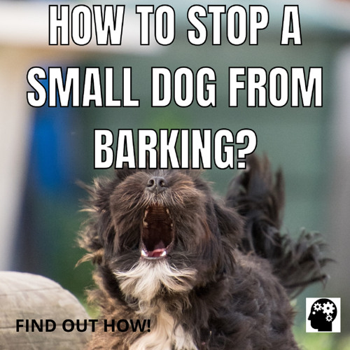 How To Make Dog Bark Less