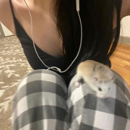 Met Her on the Internet