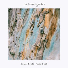 Tomas Briski - Cyan Book (Original Mix)