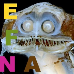 EFNA