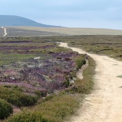 Tougher Than The Rest