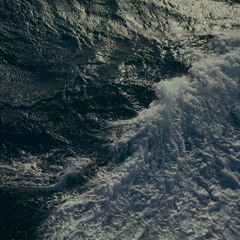 the gut of the sea