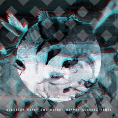 Question Mark - The Birds (SCHRANZ REMIX)