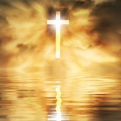 Et Puis C'est Tout En Fait, Parce Que Voilà