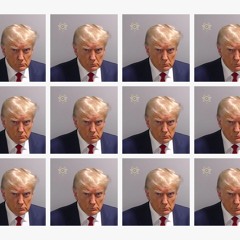 Joe Biden / Border Patrol