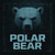 Artwork for POLAR BEAR