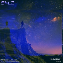 54LZ - WDILF (feat. No Surprises And Vanity Culture) [MALGUM Remix]