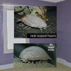 real isopod hours
