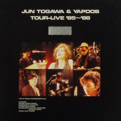 Suki Suki Daisuki (live) [jun togawa/yapoos tour ver.]