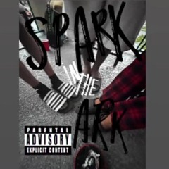 Spark in the Ark (PROD. AstroBeatz)