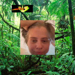 kurtains gets teleported to the jungle. OPh no!
