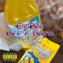 Life A Dream