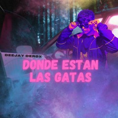 DONDE ESTAN LAS GATAS
