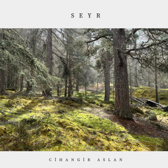 Seyr