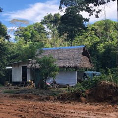 Multiverse of Madness: A Social-Ecological Tipping Point Analysis