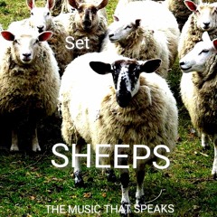 SHEEPS - SET REC-2025-10-05