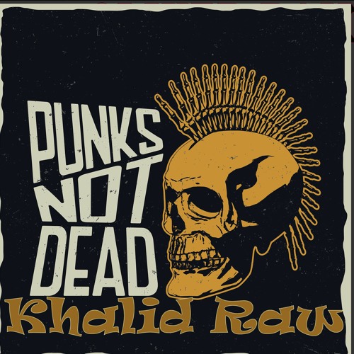 Khalid Raw - Punks Not Dead