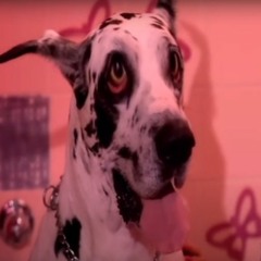 Xul - mywrist⌚   #rcxd #until until (until) until