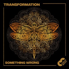 PREMIERE: Flo Circus - Something Wrong (Original Mix) [Circus Music] OUT 26.08.2022
