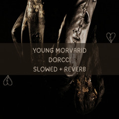YOUNG MORVARID(Slowed&Reverb) - Dorcci