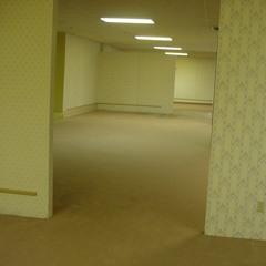 backrooms (fuck ice)