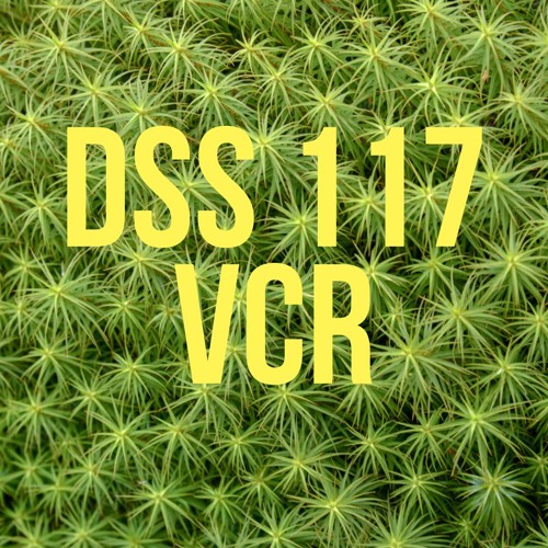 DSS 117 | vcr