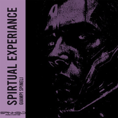 GIAMPI SPINELLI SPIRITUAL EXPERIANCE (ORIGINAL MIX )  preview