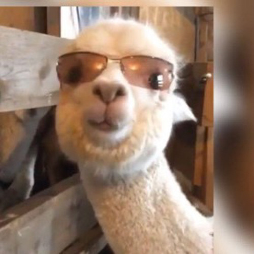 Stream Bryson Tiller Keep Doing What You're Doing Instrumental (Best