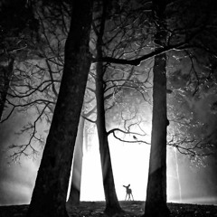 Mori non est ridiculam (remix Lux Aeterna)