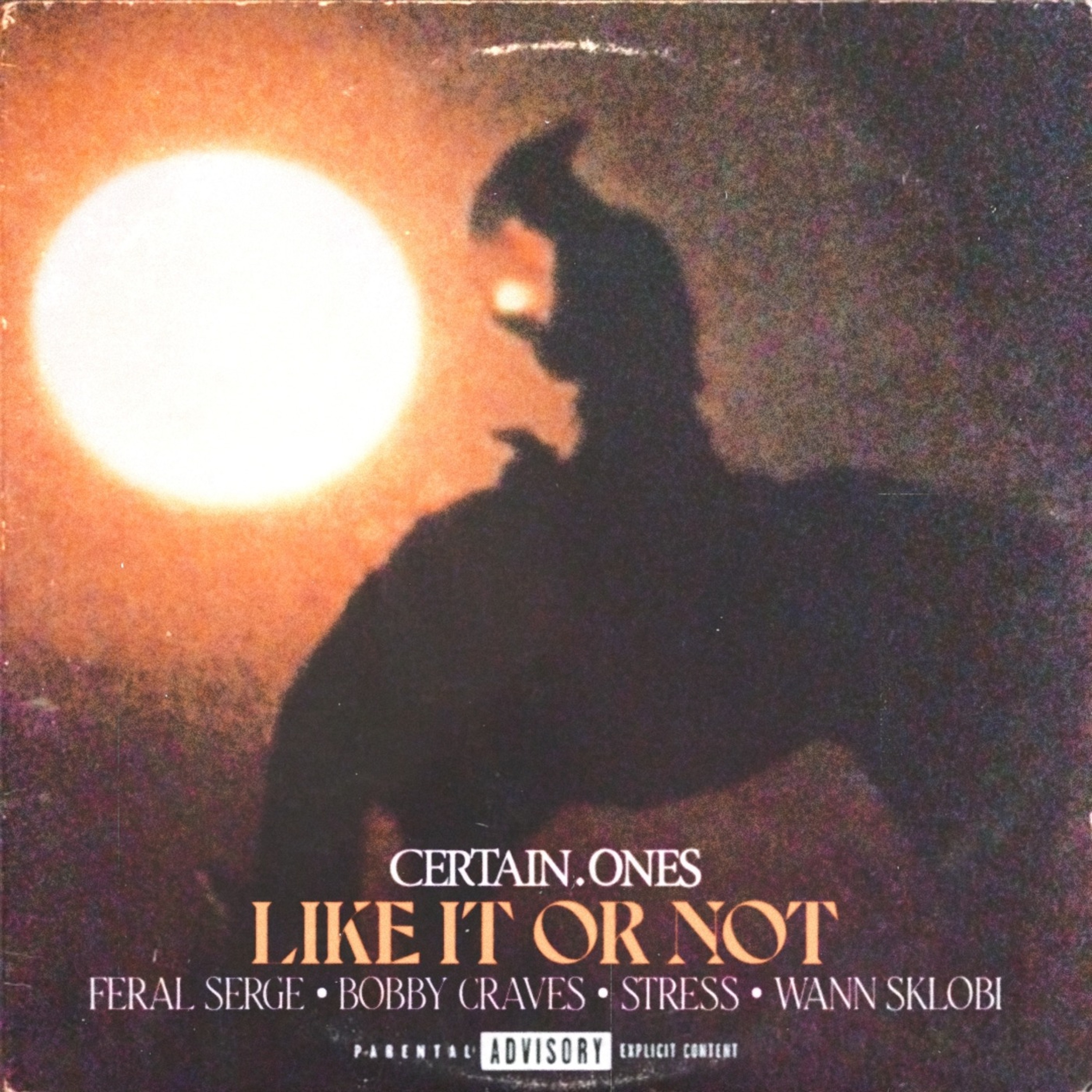 LIKE IT OR NOT | FERAL SERGE • BOBBY CRAVES • STRESS • WANN SKLOBI episode artwork