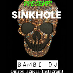 01 SINKHOLE