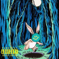 RABBIT HOLES (PROD. ADXNIS)