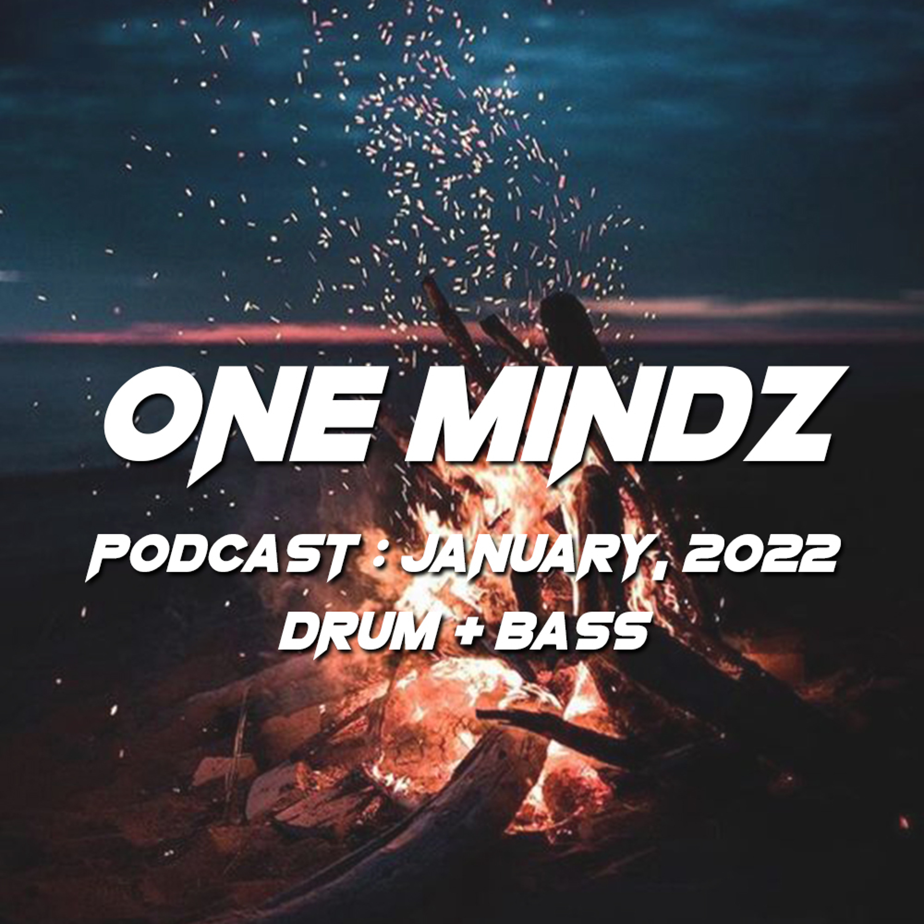 One Mindz Podcast (Drum & Bass)
