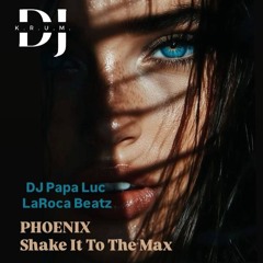 DJ Papa Luc ft LaRoca Beatz - PHOENIX 🤍 DJ K.R.U.M. remix