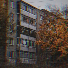 Shadows of vostok (Тени востока)
